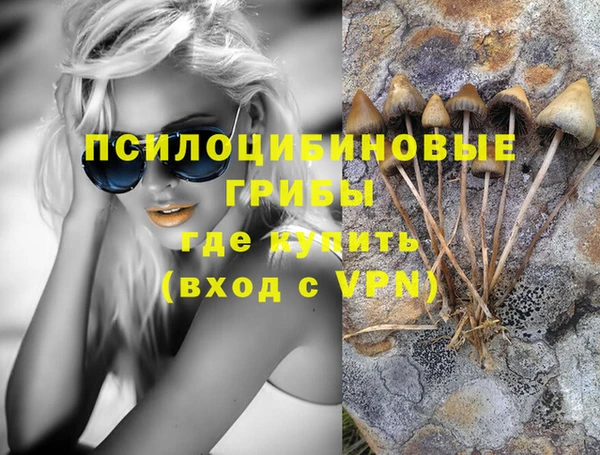 дживик Баксан