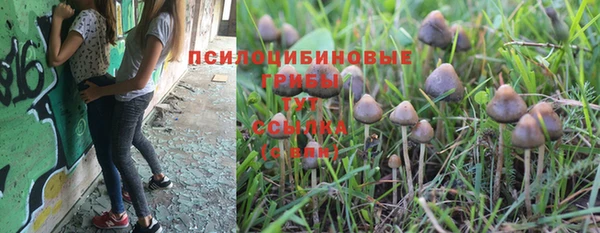 spice Балахна