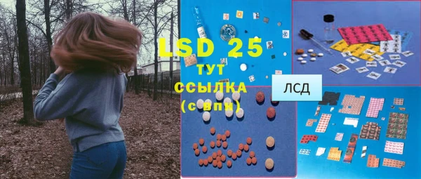 дживик Баксан