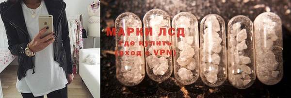 дживик Баксан